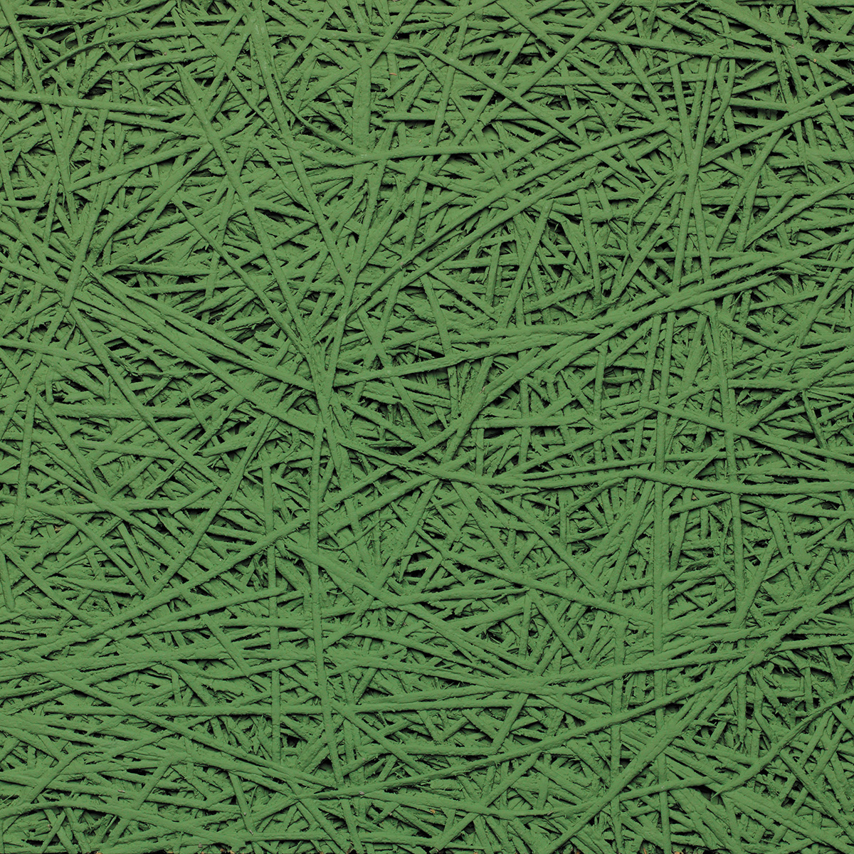 Organic - coloris Pistache.jpg